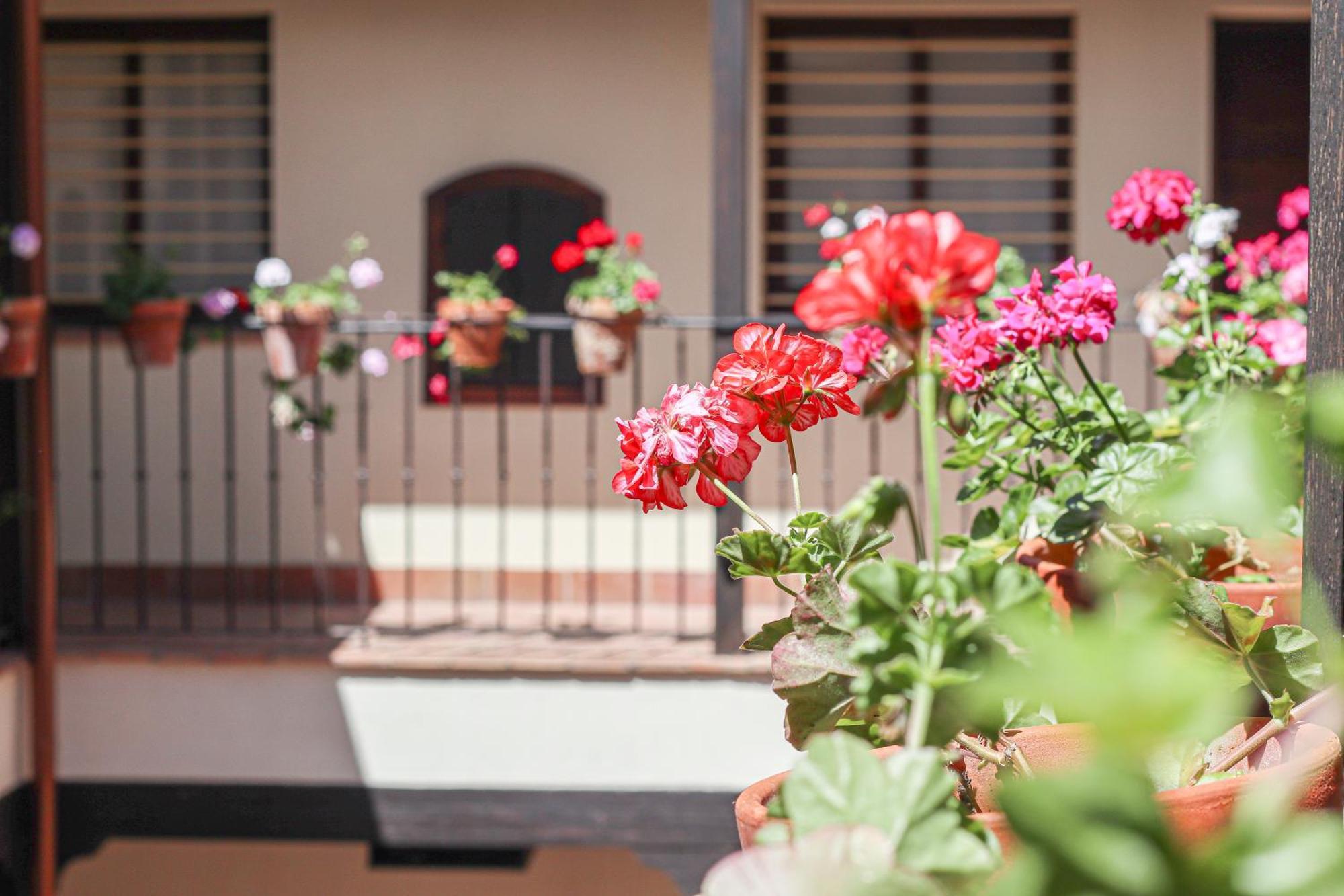 Charming Apt In The Center - 10M Walk Isla Magica إشبيلية المظهر الخارجي الصورة